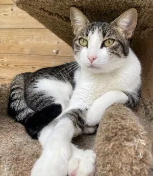 Filipo