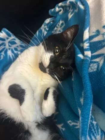 Fiona