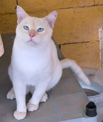Hugo
