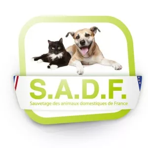 Association SADF
