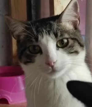 Filipo