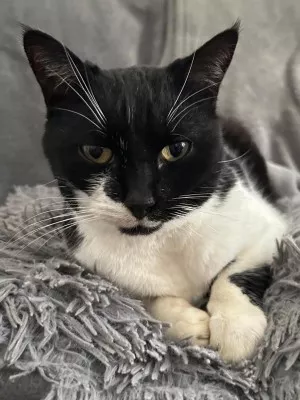 Fiona