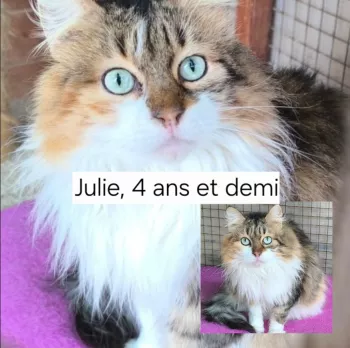 Julie