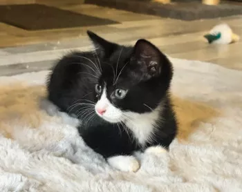 Eros
